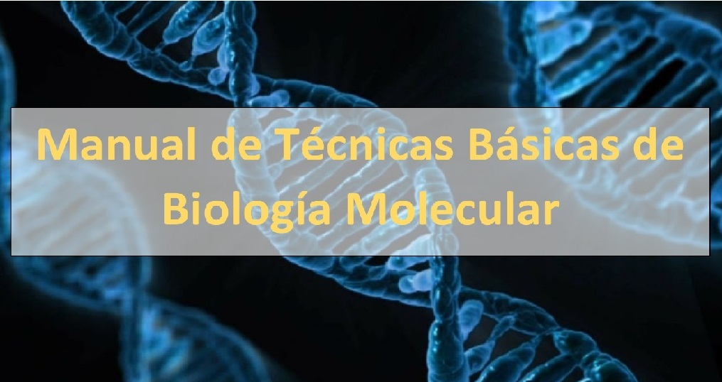 Técnicas básicas de biología molecular