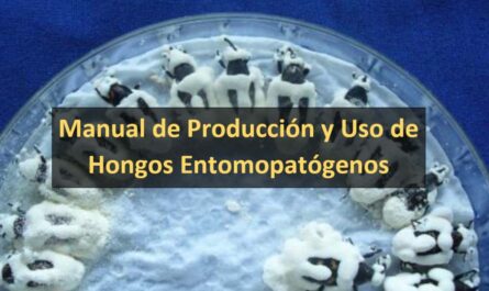 Manual de Producción y Uso de Hongos Entomopatógenos