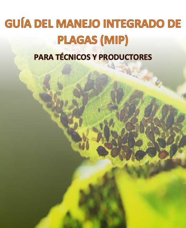 GUÍA DEL MANEJO INTEGRADO DE PLAGAS (MIP) PARA TÉCNICOS Y PRODUCTORES