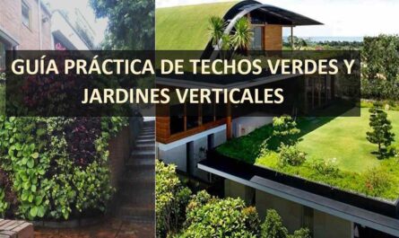 GUÍA PRÁCTICA DE TECHOS VERDES Y JARDINES VERTICALES