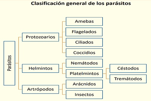 Atlas de Parasitología