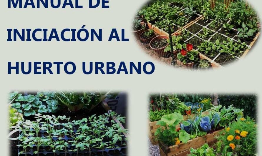 MANUAL DE INICIACIÓN AL HUERTO URBANO