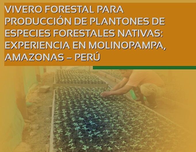 Manual Viveros Forestales para Producción de Plantones de Especies Nativas Forestales