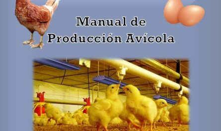 Manual de Producción Avícola