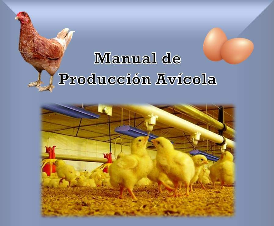 Manual de Producción Avícola