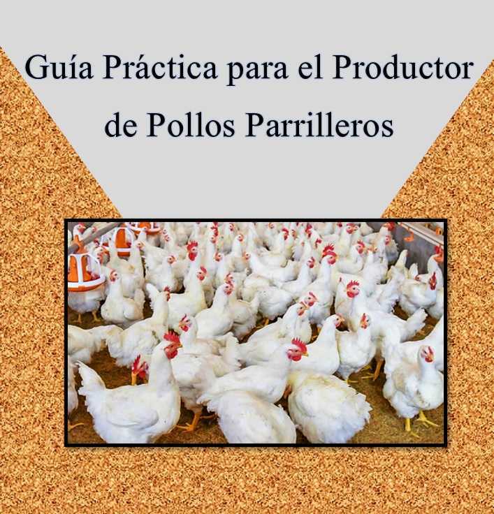 Guía Práctica para el Productor de Pollos Parrilleros