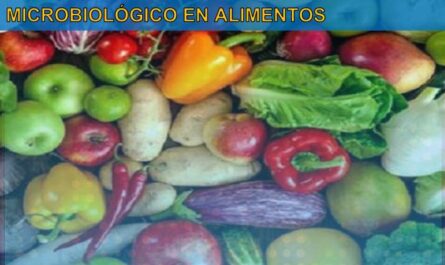 Manual: Métodos apropiados para inactivar o controlar el deterioro microbiológico en alimentos