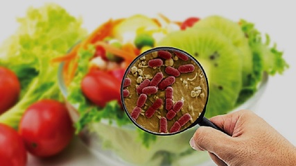 Guía técnica para la investigación y control de brotes de enfermedad transmitida por alimentos - Alimentos y bacterias