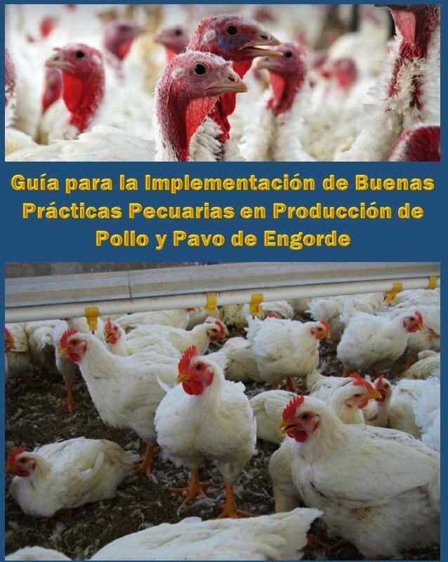 Guía para la Implementación de Buenas Prácticas Pecuarias en Producción de Pollo y Pavo de Engorde