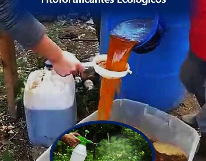 Manual de Insecticidas, Fungicidas y Fitofortificantes Ecológicos