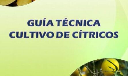 GUÍA TÉCNICA CULTIVO DE CÍTRICOS