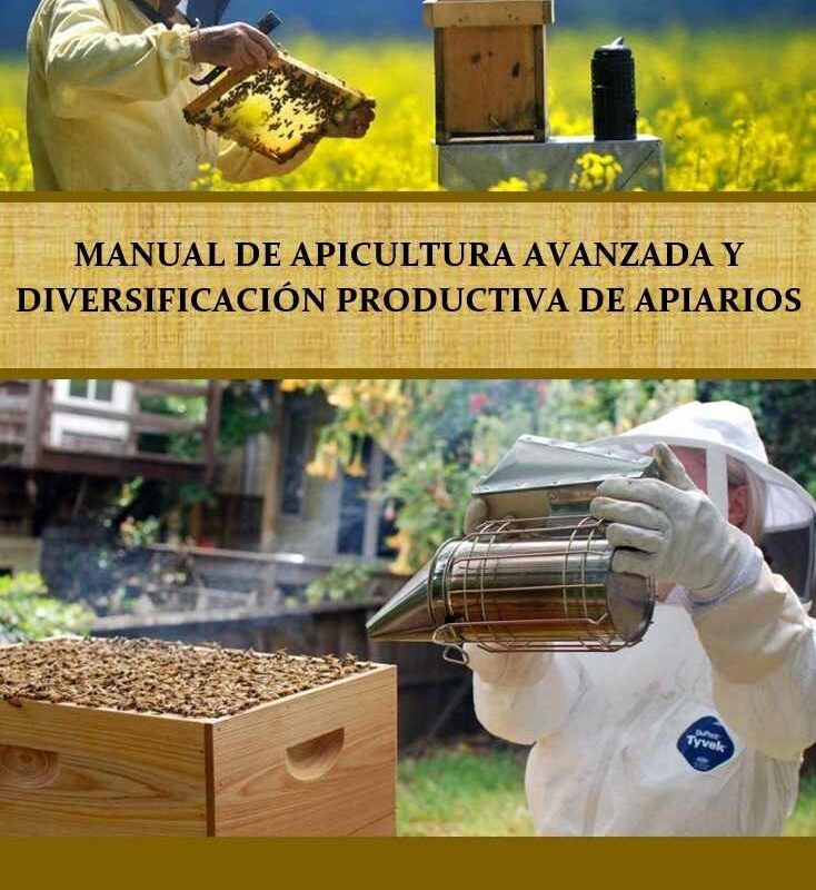Manual de apicultura avanzada y diversificación productiva de apiarios