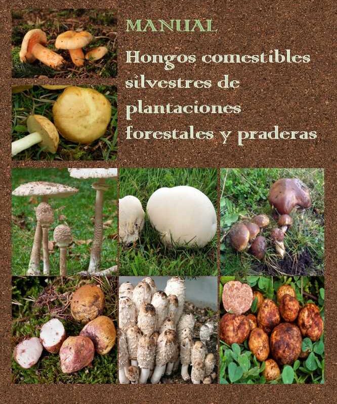 Manual - Hongos comestibles silvestres de plantaciones forestales y praderas
