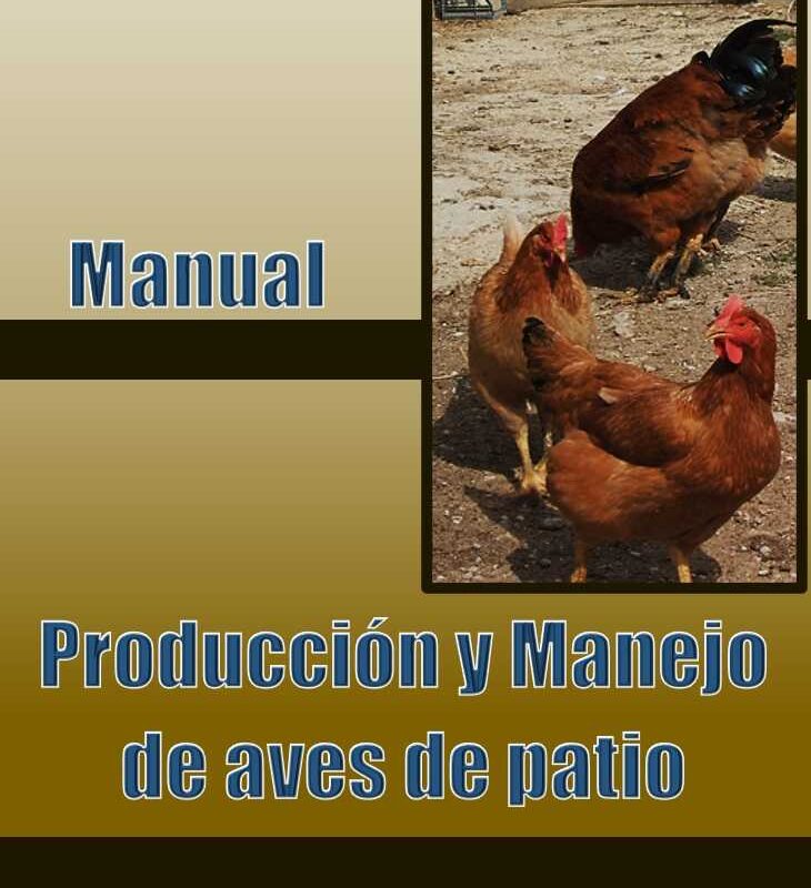 Manual de producción y manejo de aves de patio