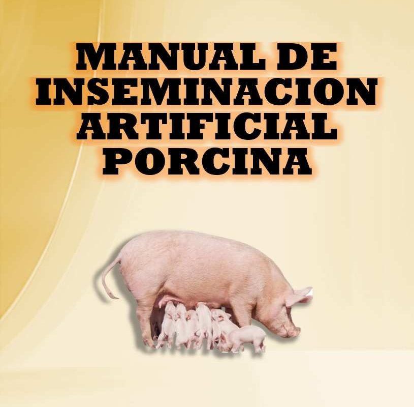 MANUAL DE INSEMINACIÓN ARTIFICIAL PORCINA