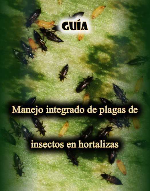 Guía: Manejo integrado de plagas de insectos en hortalizas