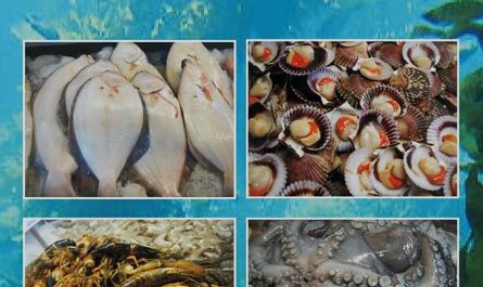 Manual de calidad en productos de la pesca y acuicultura