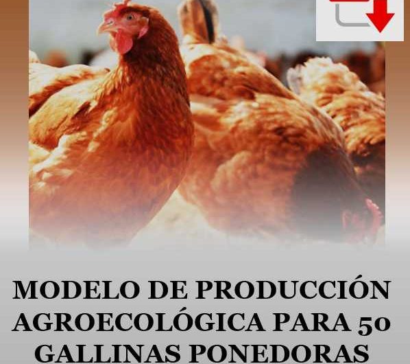 Modelo de producción agroecológica para 50 gallinas ponedoras (PDF)