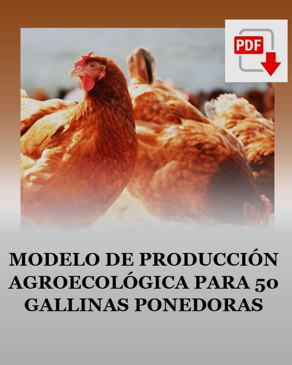 MODELO DE PRODUCCIÓN AGROECOLÓGICA PARA 50 GALLINAS PONEDORAS
