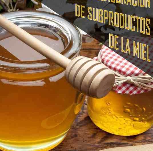 Manual para la elaboración de subproductos de la miel