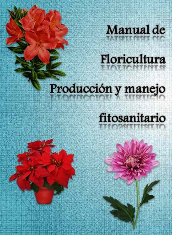 Manual de Floricultura Producción y manejo fitosanitario
