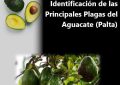 Manual de Identificación de las Principales Plagas del Aguacate (Palta)