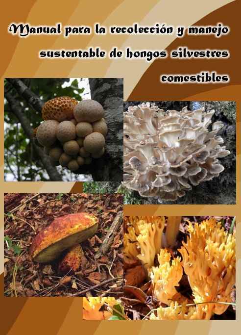 Manual para la recolección y manejo sustentable de hongos silvestres comestibles
