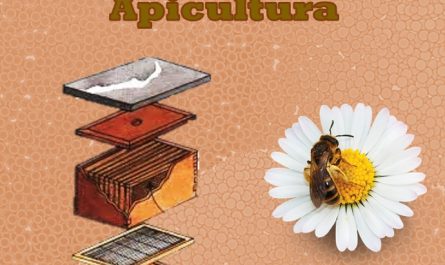Guía Tecnologías Apropiadas para la Apicultura