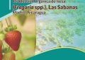 Guía Técnica Producción orgánica de fresa
