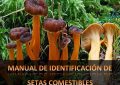 MANUAL DE IDENTIFICACIÓN DE SETAS COMESTIBLES